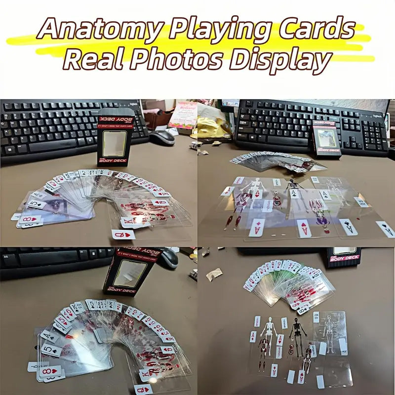 Transparent layered 3D human anatomy playing cards