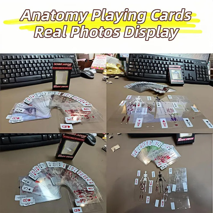 Transparent layered 3D human anatomy playing cards