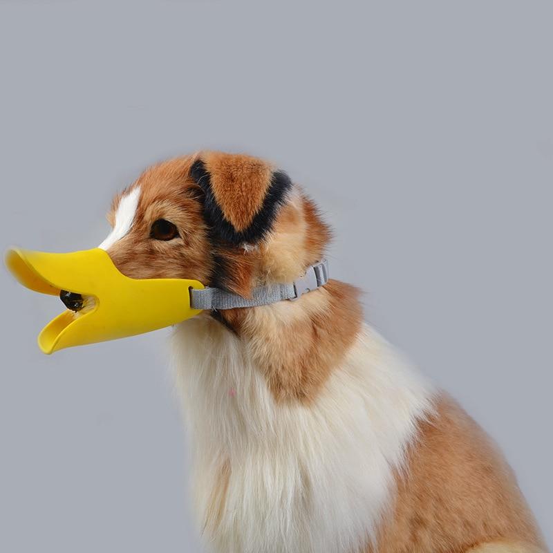 Funny Dog Duck Mouth
