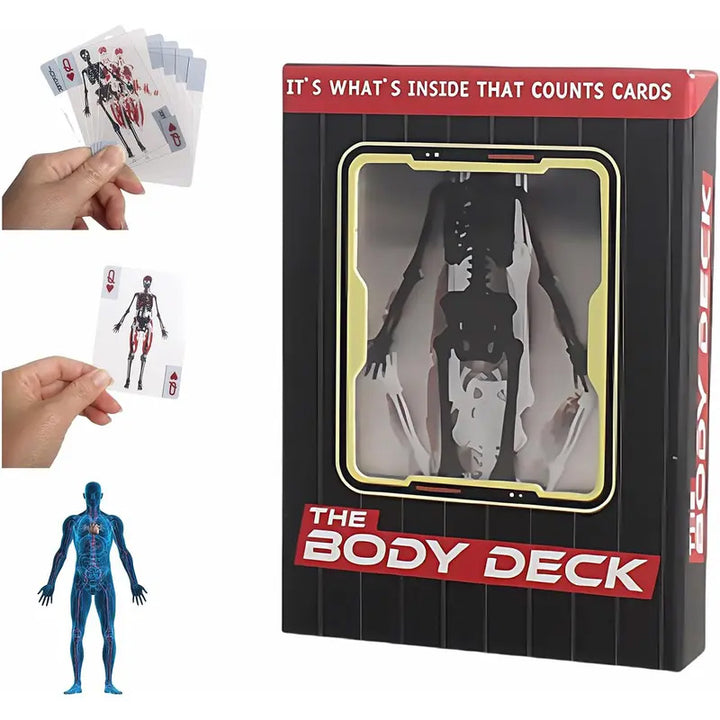 Transparent layered 3D human anatomy playing cards