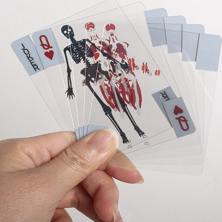 Transparent layered 3D human anatomy playing cards