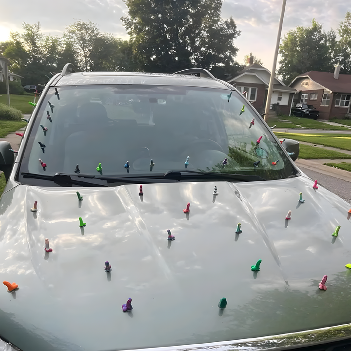 Suction-Cup Parking Prank Signs