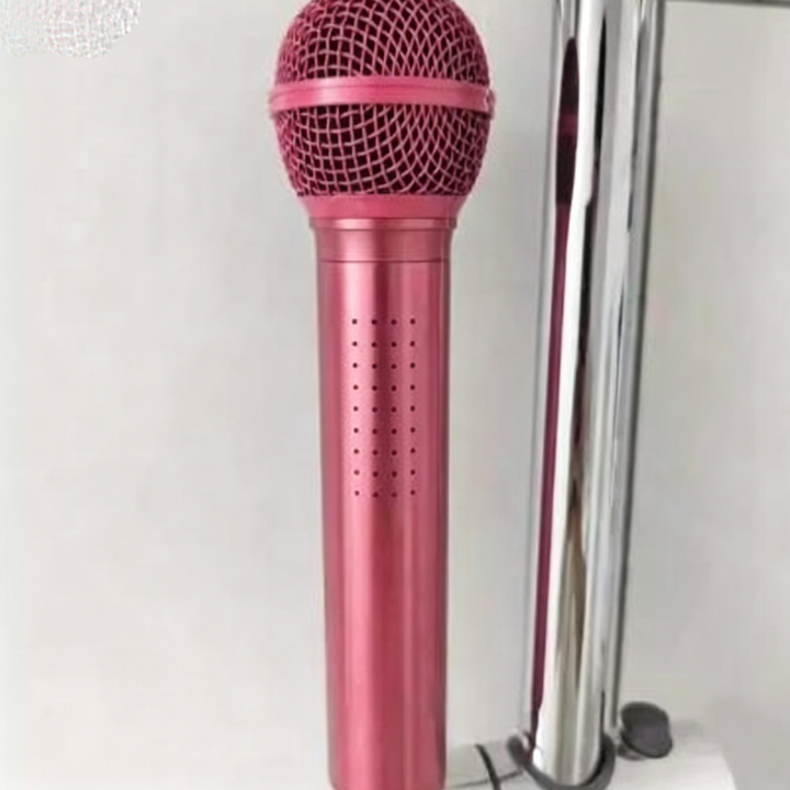 Microphone-Shaped Creative Showerhead