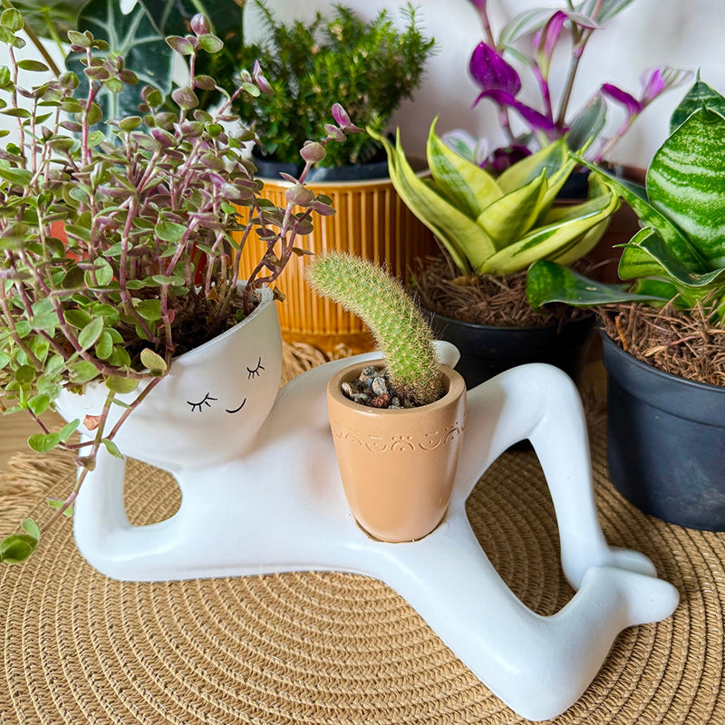 Low-maintenance figurine planter