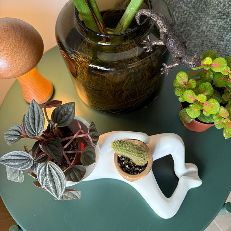 Low-maintenance figurine planter