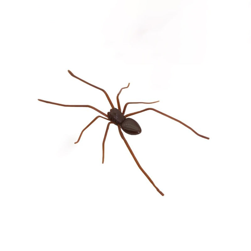 Realistic Spider Magnetic Fridge Magnet