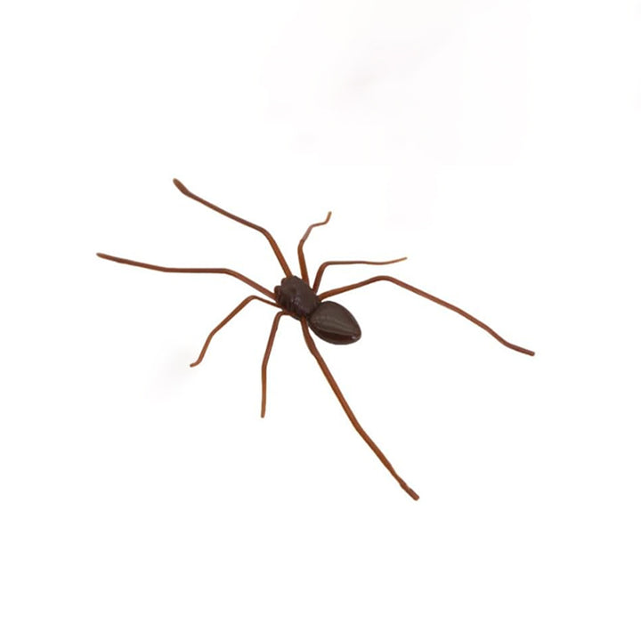Realistic Spider Magnetic Fridge Magnet