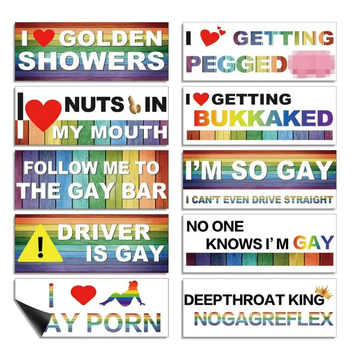 Reusable Fun Car Magnets