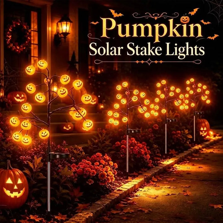 Night Shadow Pumpkin Solar Ground Light