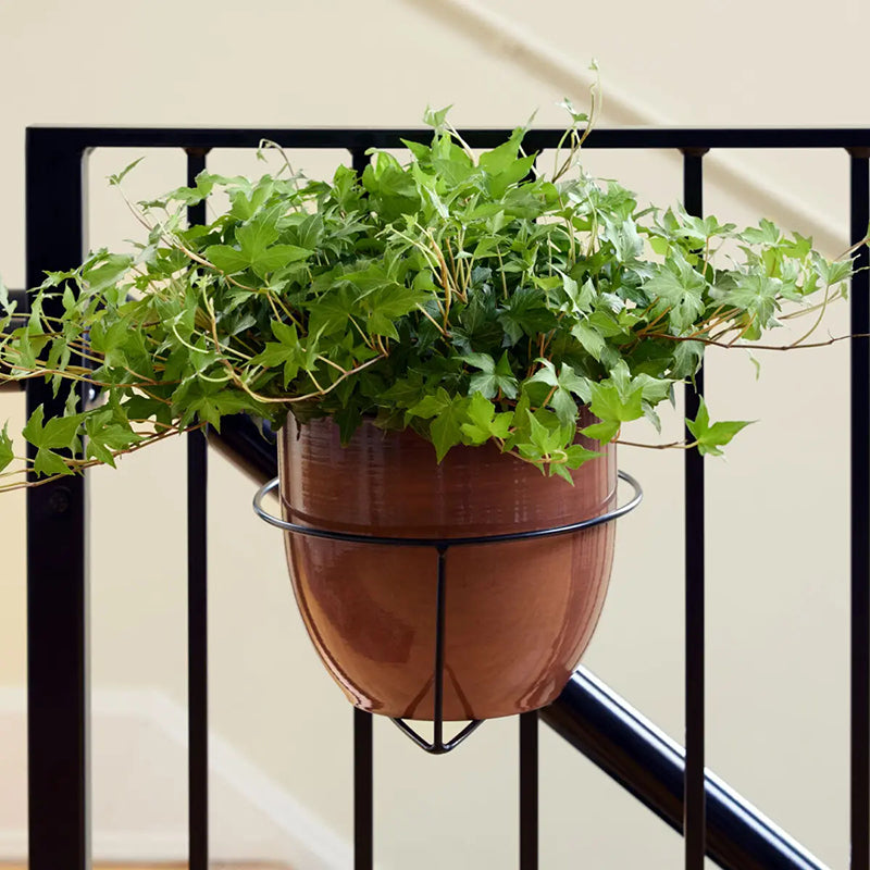 Indoor/Outdoor Plant Hanging Rack