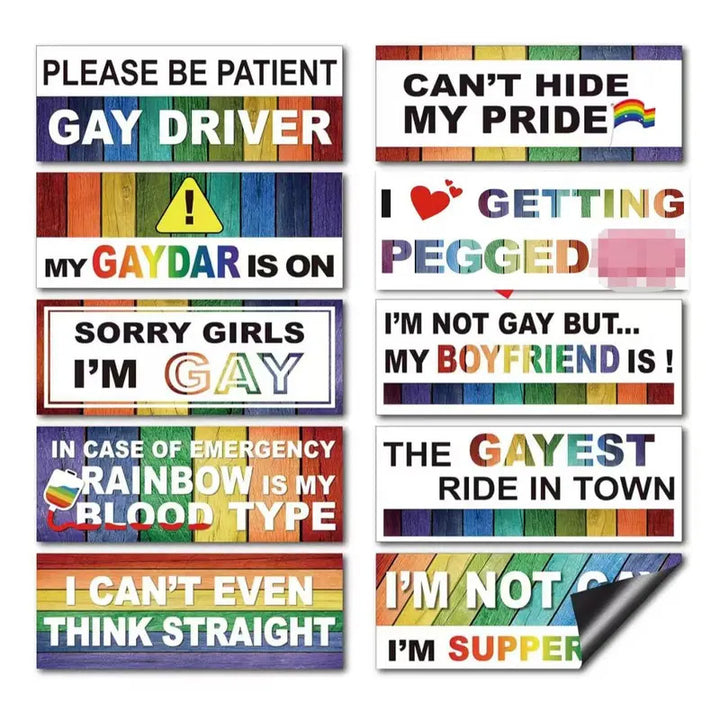 Reusable Fun Car Magnets