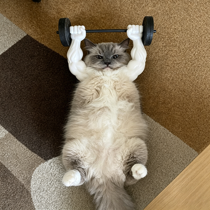 Creative Giant Muscular Arms for Pets