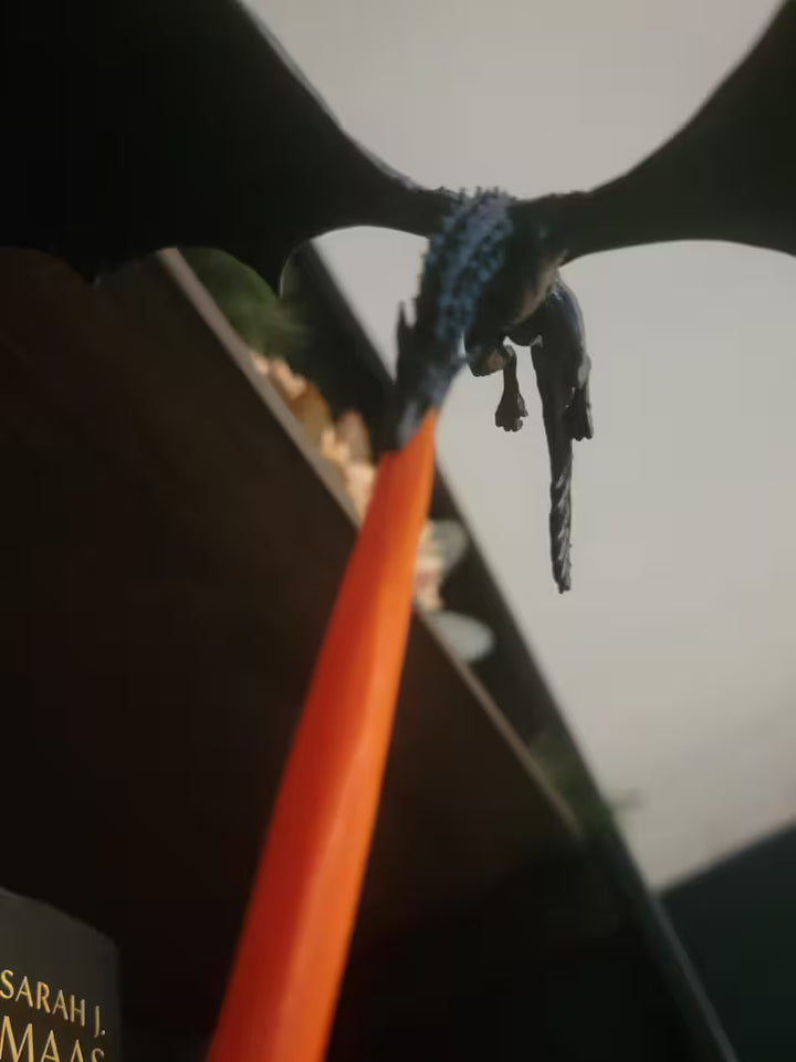 Fire Breathing Dragon Book Nook