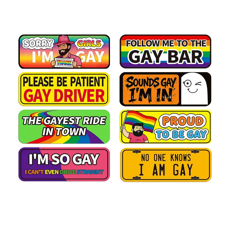 Reusable Fun Car Magnets