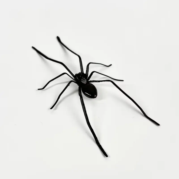Realistic Spider Magnetic Fridge Magnet