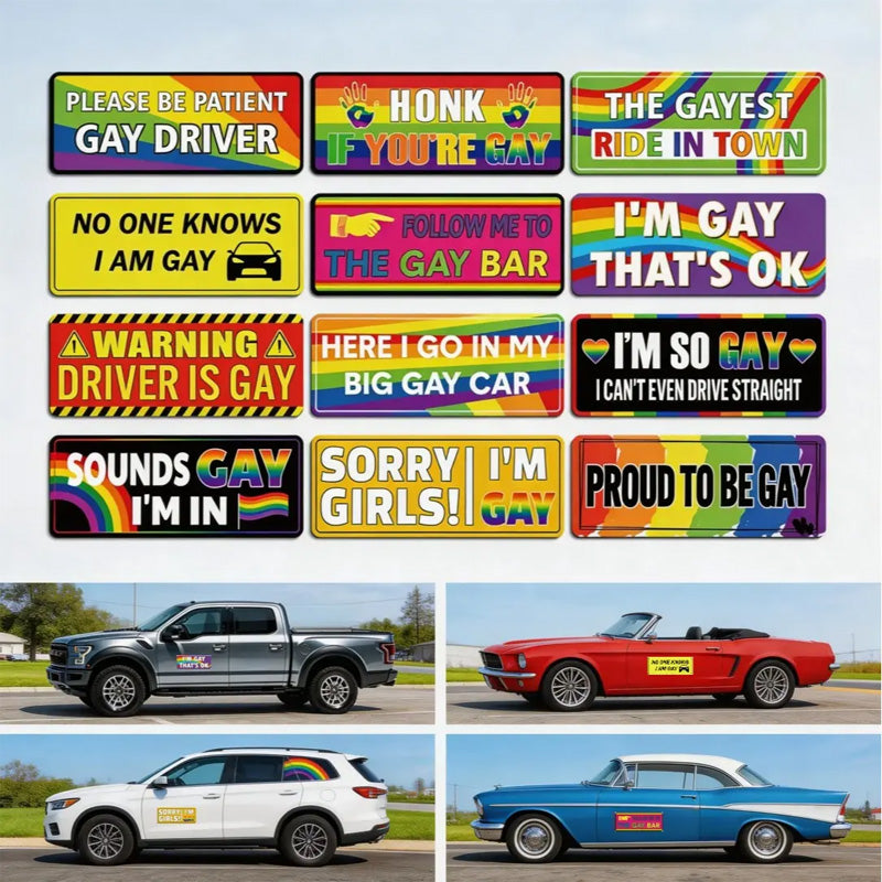 Reusable Fun Car Magnets