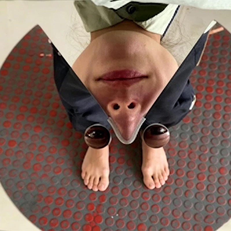 Mirror-like funny mask
