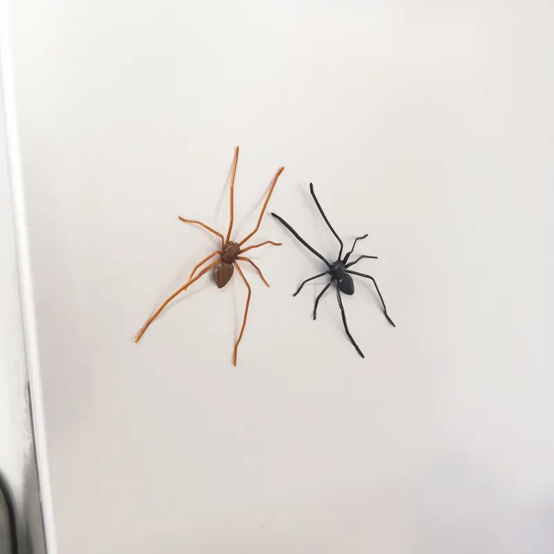 Realistic Spider Magnetic Fridge Magnet