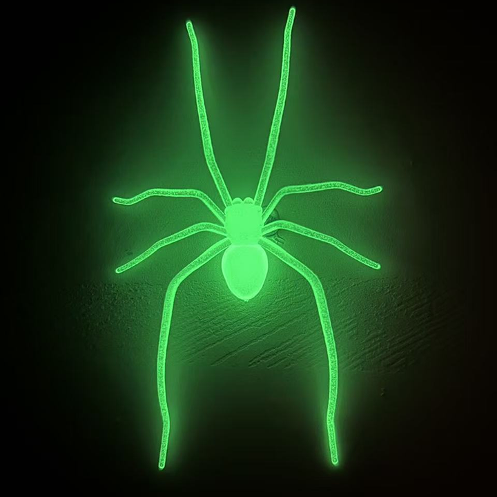 Realistic Spider Magnetic Fridge Magnet