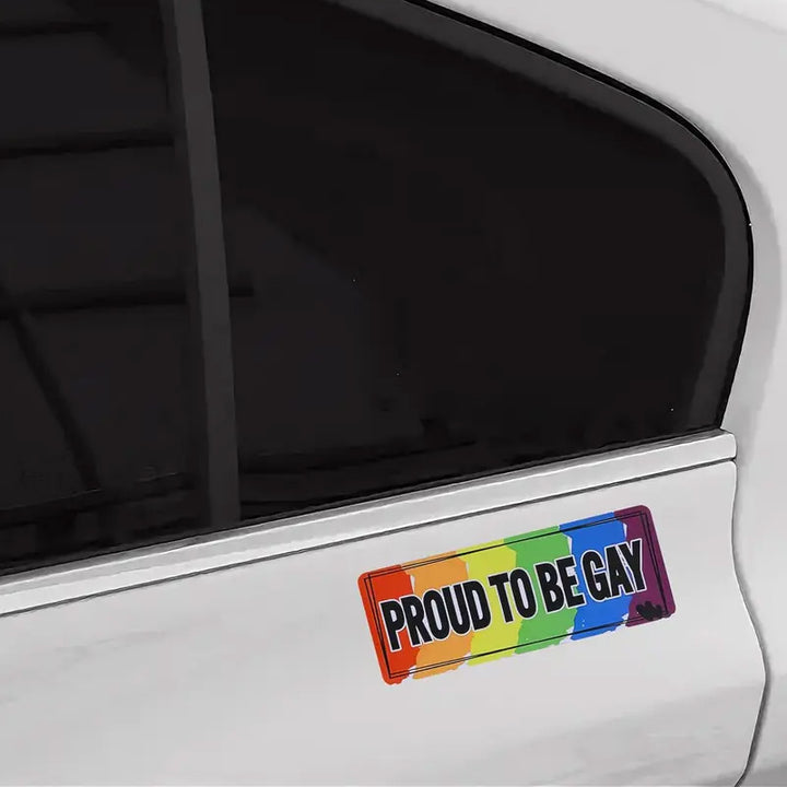 Reusable Fun Car Magnets