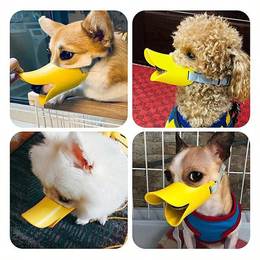 Funny Dog Duck Mouth