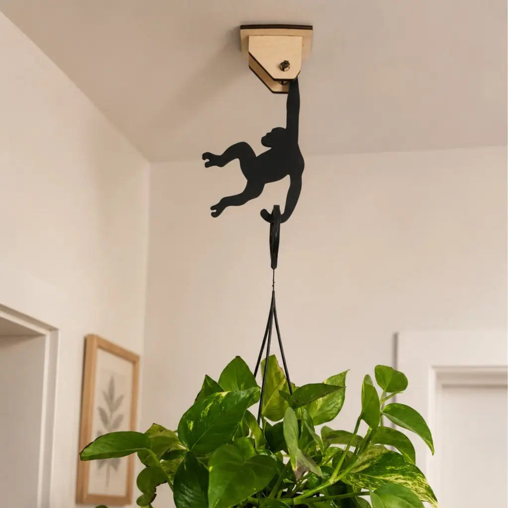 Creative monkey hook