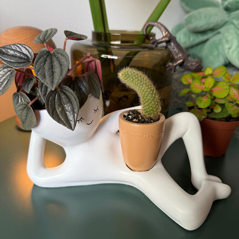 Low-maintenance figurine planter