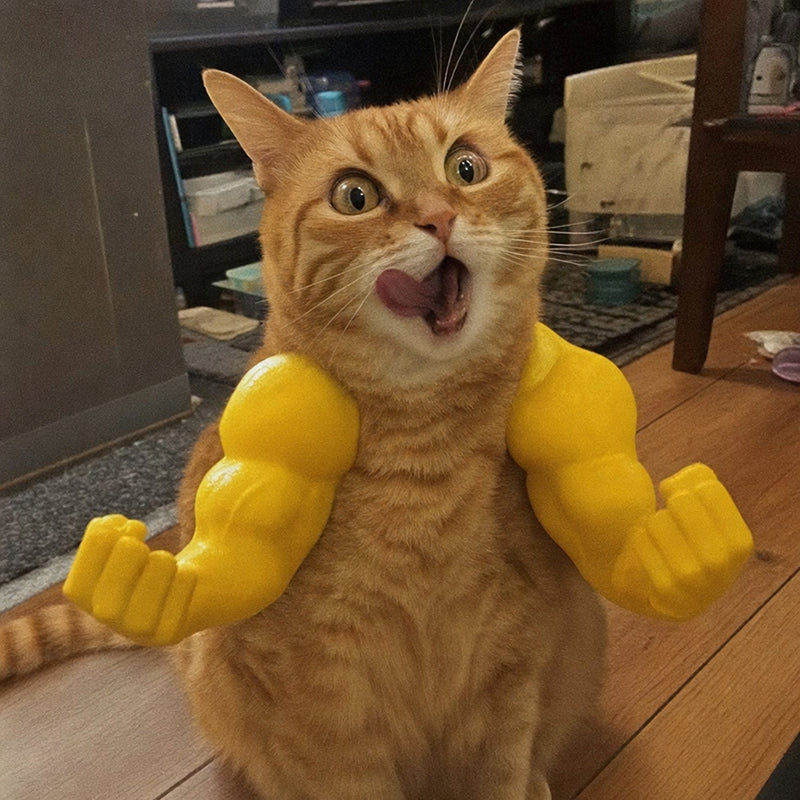 Creative Giant Muscular Arms for Pets