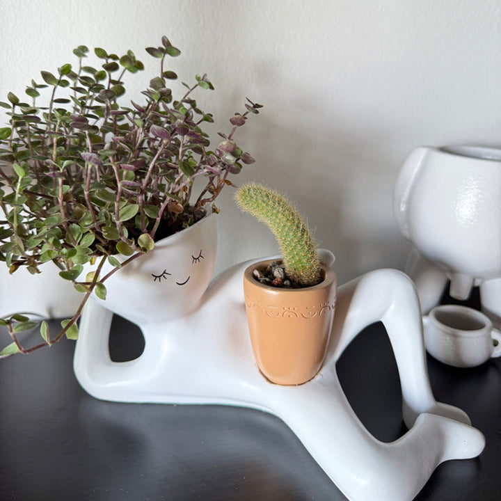 Low-maintenance figurine planter