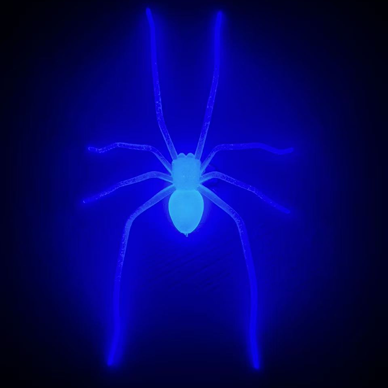 Realistic Spider Magnetic Fridge Magnet