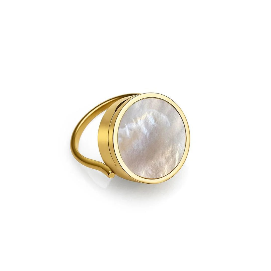 Multifunctional stainless steel ring