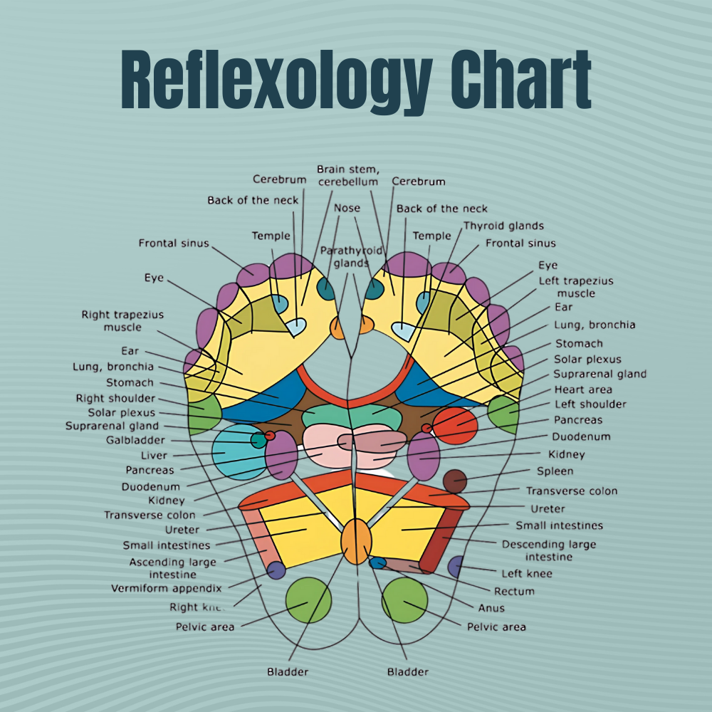 Reflex Therapy Socks