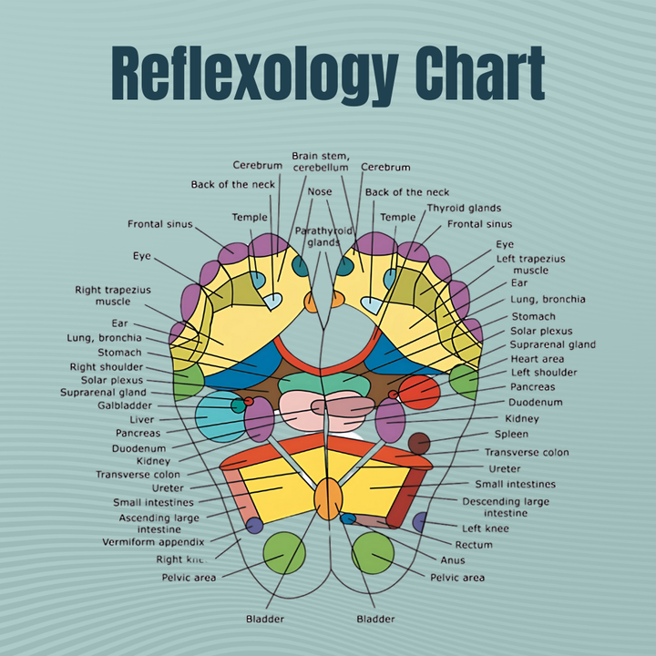Reflex Therapy Socks